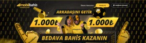 1163Mobilbahis